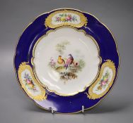 A Coalport plate painted with exotic birds in landscape, the blue border with three raised gilt,