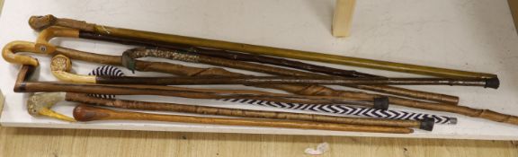 A collection of nine various handled walking sticks