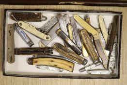 A walking cane with carved bird grip, and a collection of pen knives