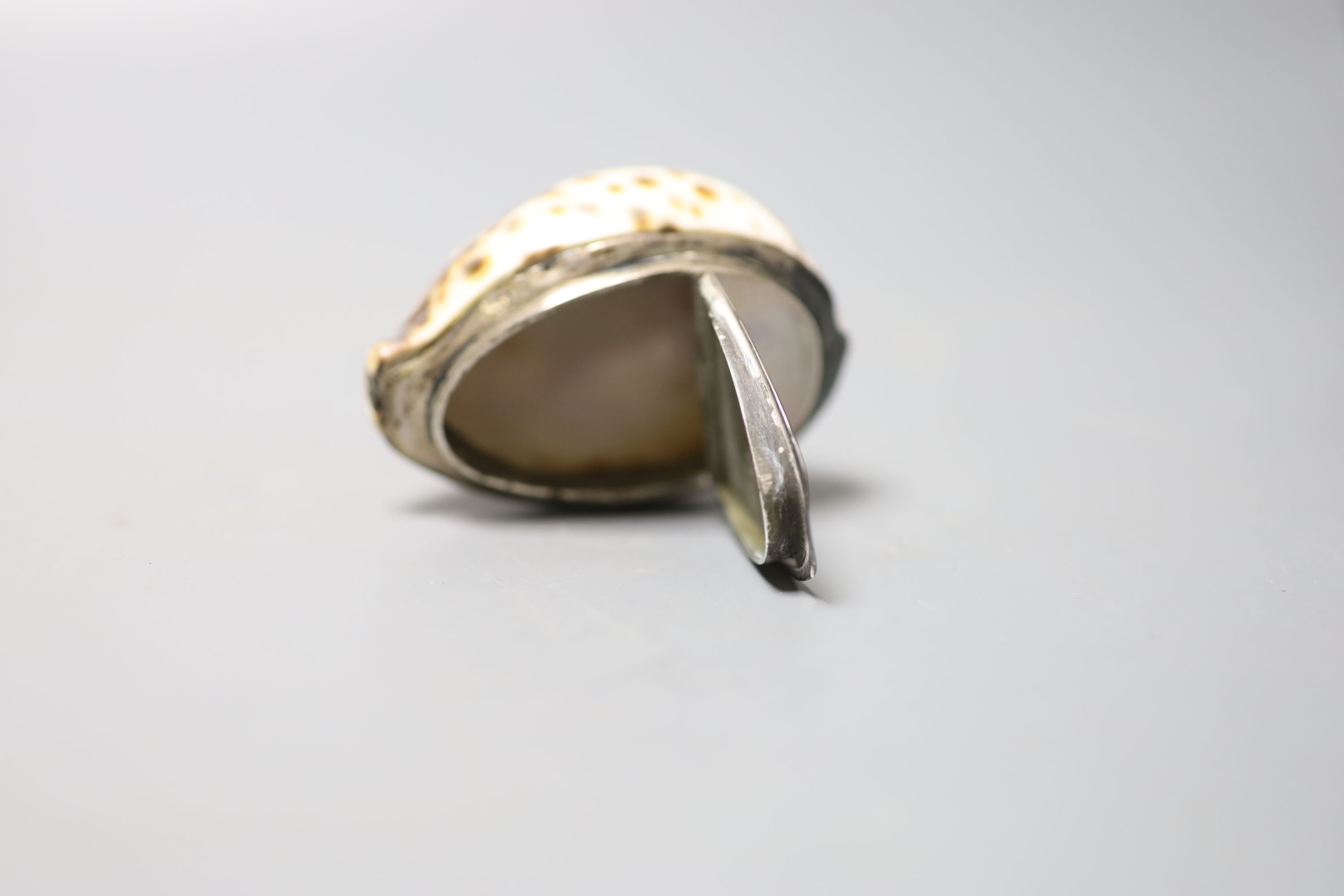 A 19th century white metal mounted horn snuff mull, 7cm and a similar white metal mounted cowrie - Image 4 of 6