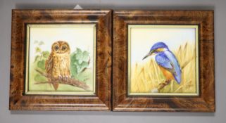 Two plaques, painted with an owl and a kingfisher by ex-Royal Worcester artist N. Creed, signed, 9 x