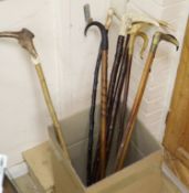 A collection of eight horn and antler handled walking sticks