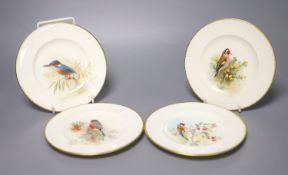 A set of four Royal Worcester plates, painted with Bullfinch, Kingfisher, Goldfinch and another