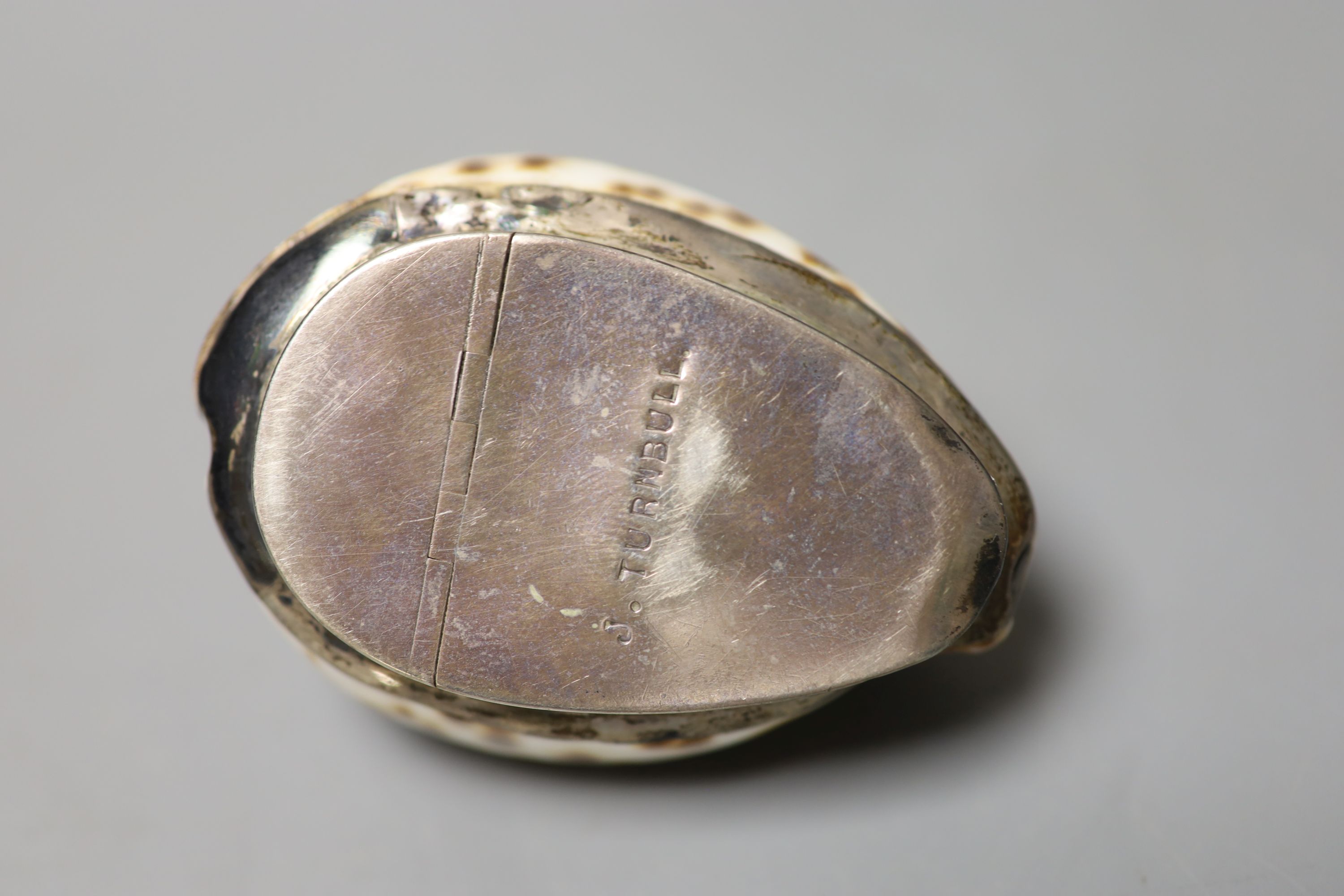 A 19th century white metal mounted horn snuff mull, 7cm and a similar white metal mounted cowrie - Image 3 of 6