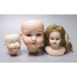 An Armand Marseille 390 bisque doll head, a Heubach Koppelsdorf bisque doll head and other