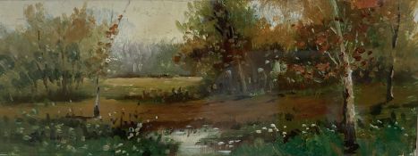 Jose Ferrandiz Esteve (b.1964), oil on card, Landscape, label verso, 6 x 15cm