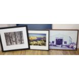 Three assorted near contemporary photographs, Woodland in winter, Coastal scene and Guineys