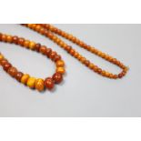 A single strand graduated amber bead necklace, 76cm, gross weight 39 grams.