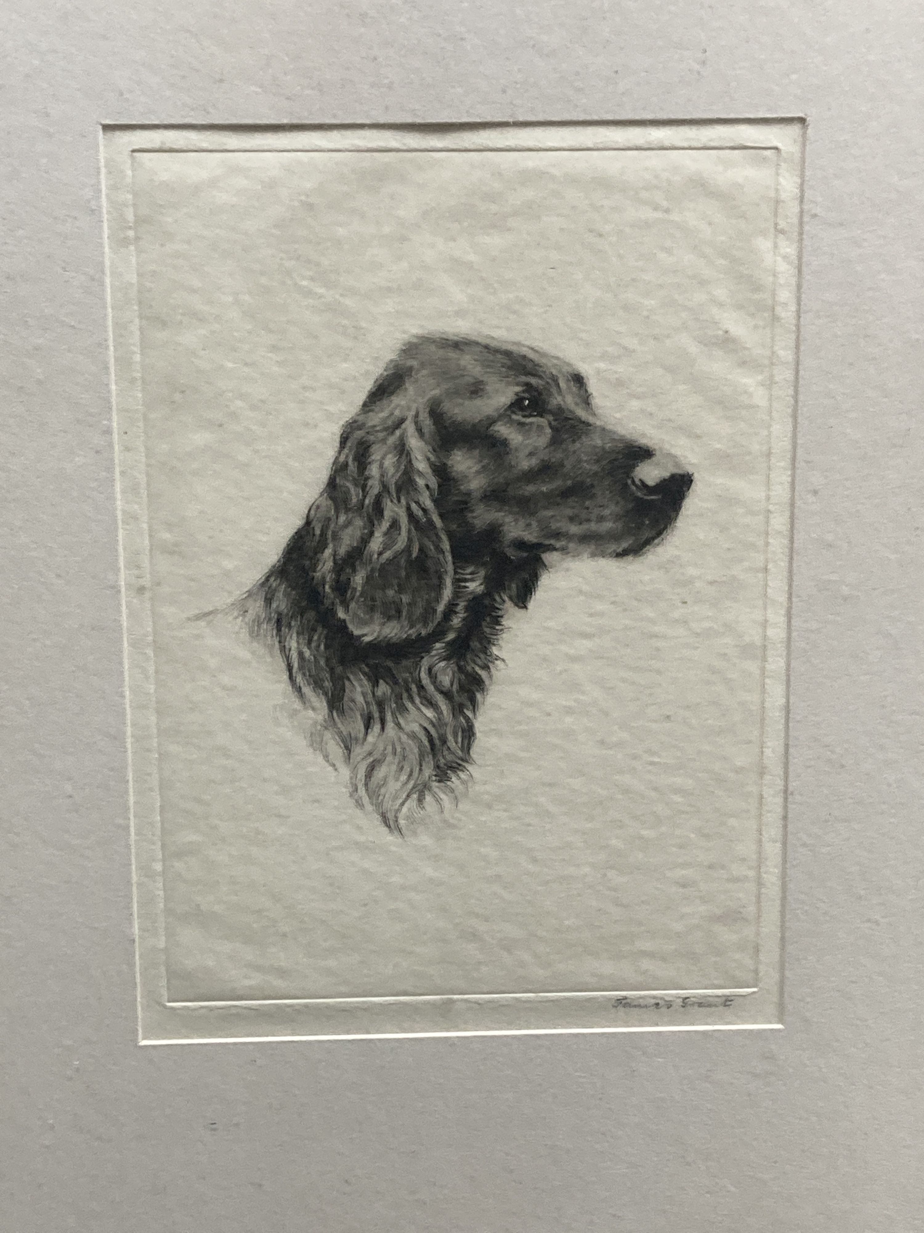 James Grant, pair of drypoint etchings, 'British Favourites - Irish Setter and Alsatian', signed - Image 3 of 4