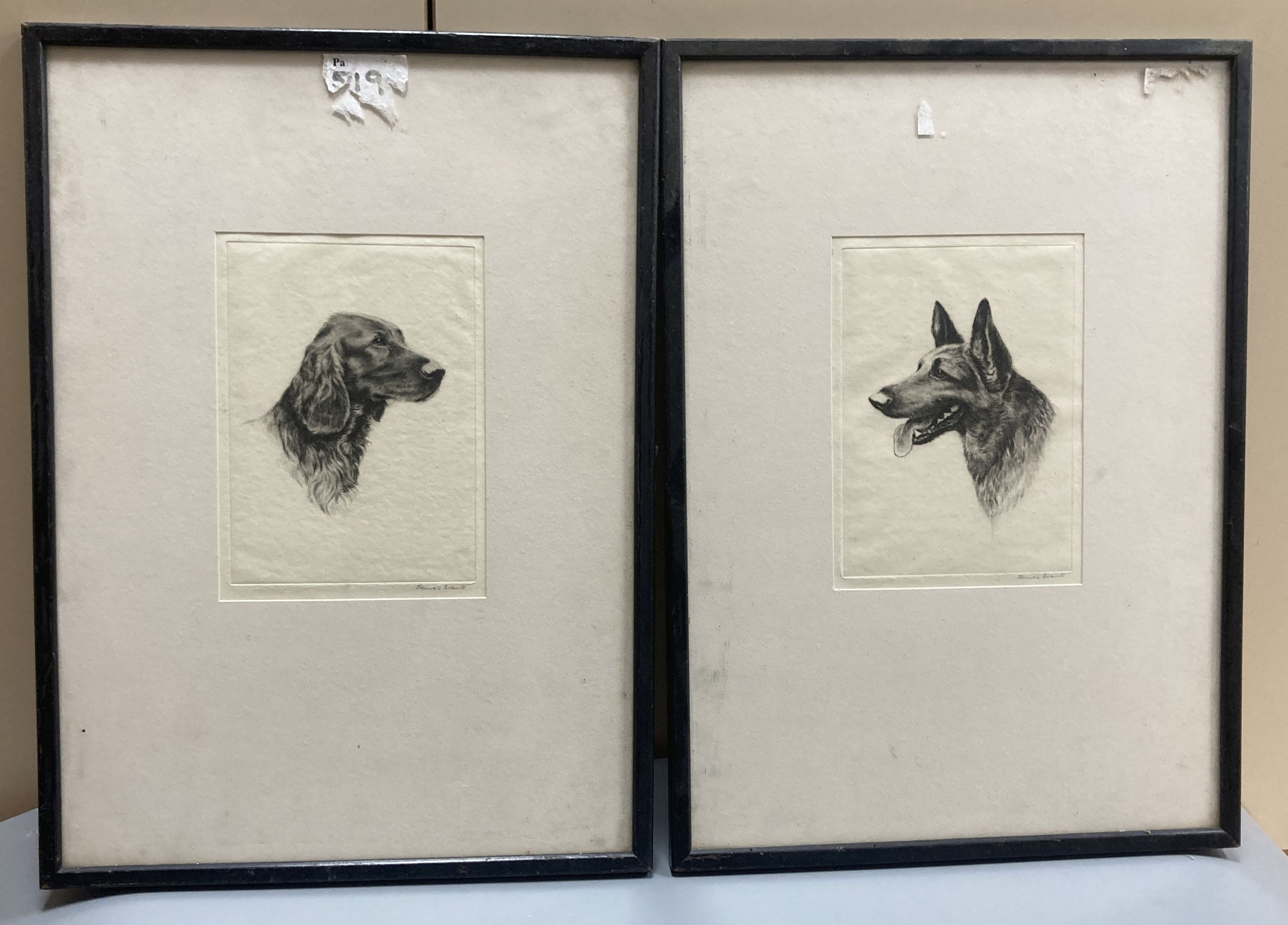 James Grant, pair of drypoint etchings, 'British Favourites - Irish Setter and Alsatian', signed
