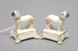 A pair of miniature Staffordshire porcelain pugs, on tassled cushion bases, c.1840, height 3.