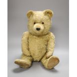 A mid 1920's Teddy Bear with photo of original owner