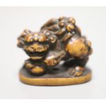 A 19th century boxwood netsuke of a shi-shi, height 3.5cm