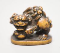 A 19th century boxwood netsuke of a shi-shi, height 3.5cm