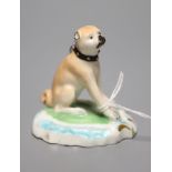 A Derby porcelain pug, c.1810-30, height 6cmCONDITION: ex Dennis G. Rice collection.