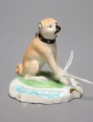 A Derby porcelain pug, c.1810-30, height 6cmCONDITION: ex Dennis G. Rice collection.