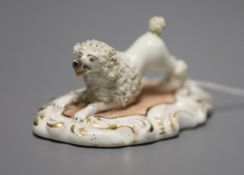 A Staffordshire porcelain poodle with upraised hind legs, c.1840, width 9cmCONDITION: ex Dennis G.