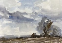 Edward Wesson (1910-1983), watercolour, Trees and clouds in a landscape, signed, 27 x 38cm