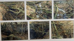 John Wiltshire, six watercolours, Studies of the Tank Bridge, Exhibition label verso, overall 30 x