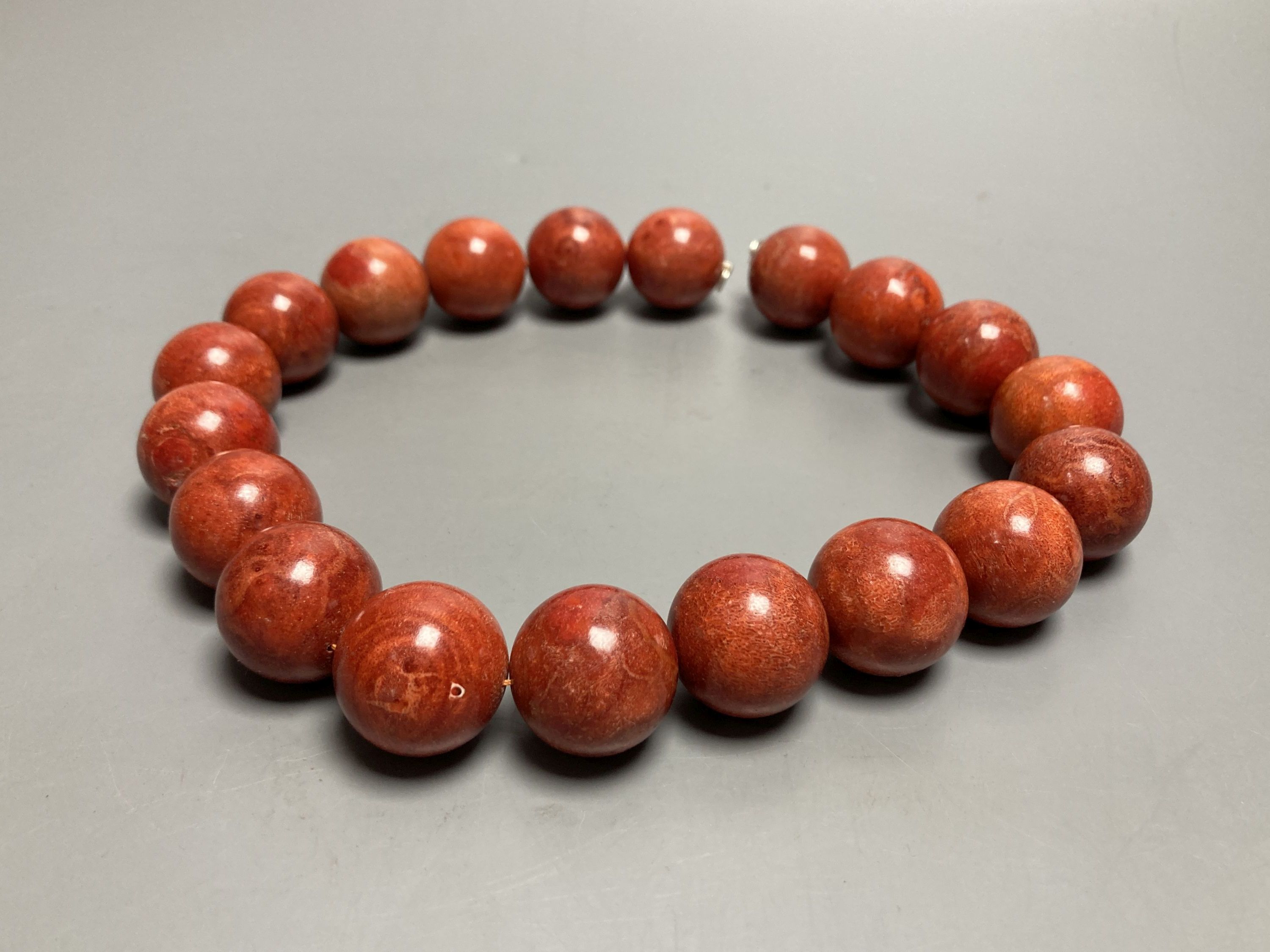 A large single strand circular stained? coral bead necklace, no clasp, 43cm, gross 267 grams.