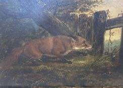 C. Alken (19th C.), oil on panel, Fox in woodland, 18 x 25cm