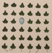 Daphne Gradidge (b.1952), 'Thirty Five Ivy Leaves and One Blue Egg', 2008, watercolour on Fabriano