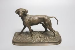 After P. J. Mene, a bronze model of a pointer, signed, on oval naturalistic base, length 19cm
