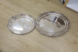 Two graduated oval plated meat dishes