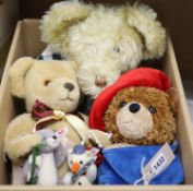 Large musical Canterbury bear and Merrythought musical and Steiff yellow tag Paddington, White label