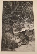Max Klinger (b.1857), etching, Wolf and dead cavalryman, 32 x 20cm, unframed
