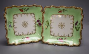 A pair of Flight Barr and Barr gadrooned bordered square shaped dishes painted flowers