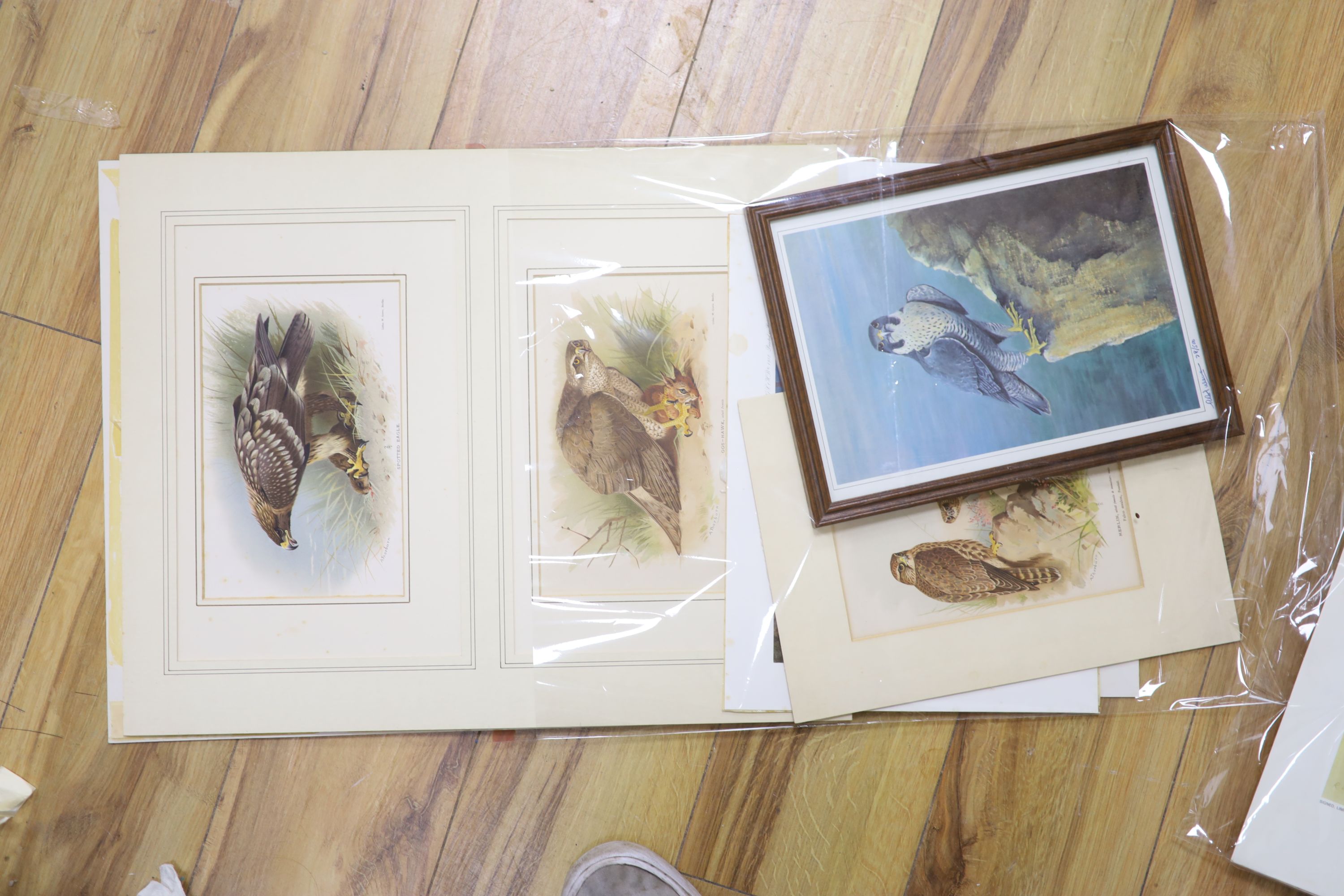 A collection of framed and unframed wildlife prints after Archibald Thorburn, David Digby and - Bild 2 aus 3