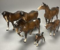 Six various Beswick horses, tallest 22cm