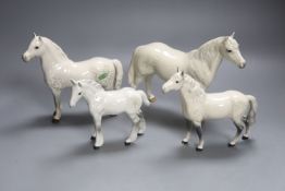 Four Bewsick grey horses