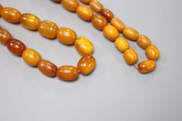 A single strand, graduated oval amber bead necklace, 86cm, gross 104 grams,largest bead approx. 25mm