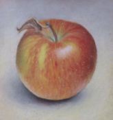 Janet Bolton, pastel, Braeburn Apple, signed and dated '92, 14 x 13cm
