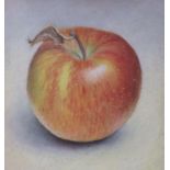 Janet Bolton, pastel, Braeburn Apple, signed and dated '92, 14 x 13cm
