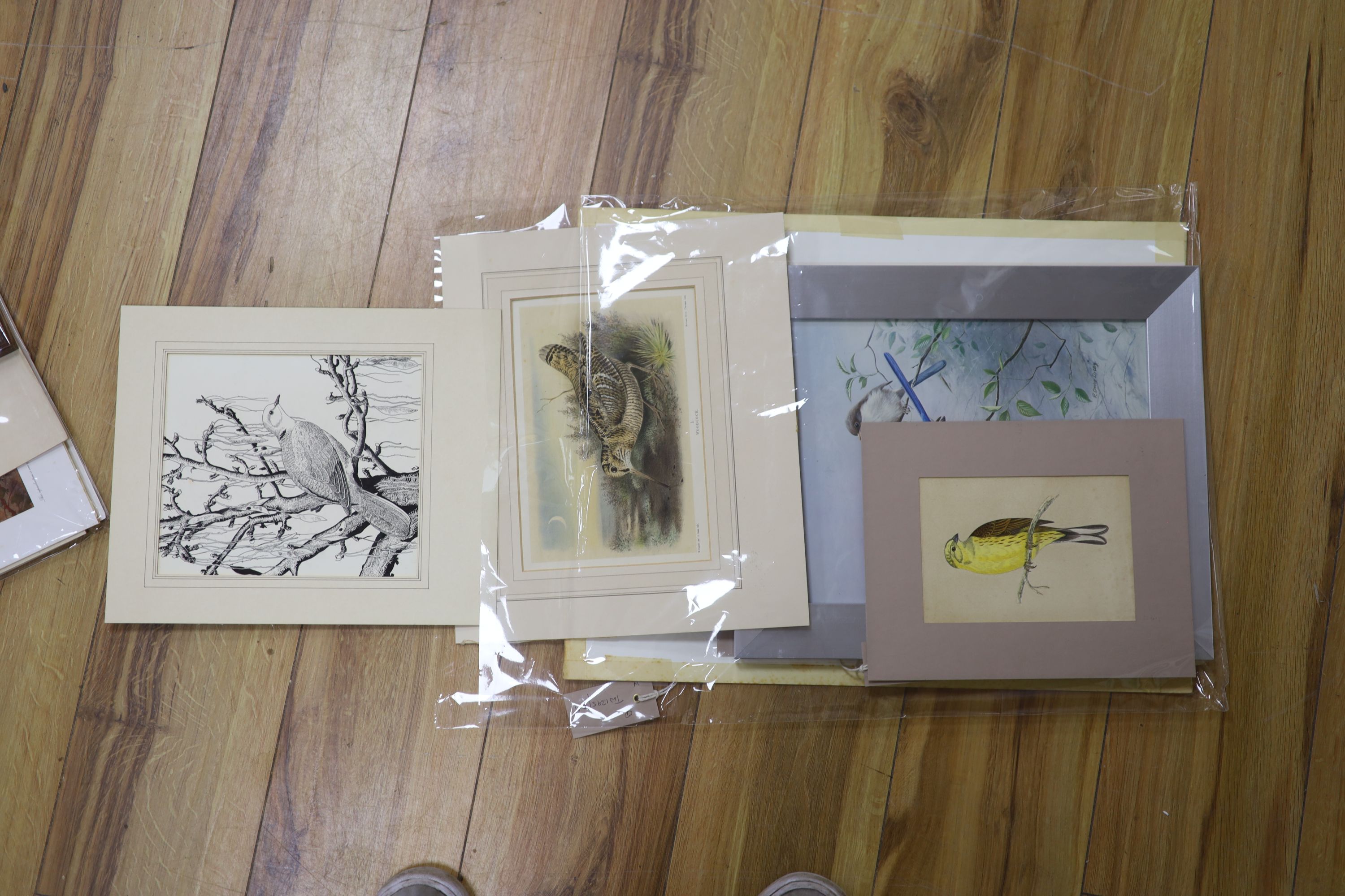 A collection of framed and unframed wildlife prints after Archibald Thorburn, David Digby and - Bild 3 aus 3