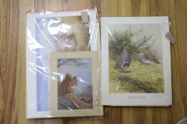 A collection of framed and unframed wildlife prints after Archibald Thorburn, David Digby and