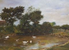D. Hepburn, oil on board, View of a duck pond, signed, 21 x 28cm