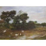 D. Hepburn, oil on board, View of a duck pond, signed, 21 x 28cm