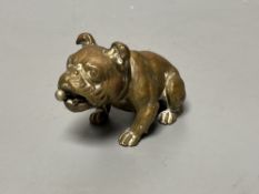 An Austrian cast bulldog cigar cutter, width 7cm