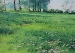 Richard Thorn (b.1952), watercolour, Meadow with trees, signed, 39 x 53cm