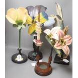 A Group of four 20th century German Brendel botanical specimen / teaching models, Pisum Pois