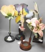 A Group of four 20th century German Brendel botanical specimen / teaching models, Pisum Pois