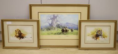 Three David Shepherd limited edition prints; Lion Sketch, Tiger Sketch and Rhino Reverie, signed