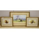 Three David Shepherd limited edition prints; Lion Sketch, Tiger Sketch and Rhino Reverie, signed