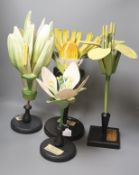 A Group of four 20th century German Brendel botanical specimen / teaching models, assembling