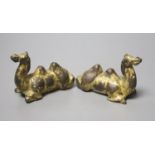 A pair of Chinese gilt bronze scroll weights, modelled as resting camels, 10cm long