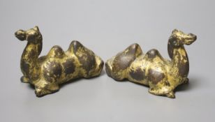 A pair of Chinese gilt bronze scroll weights, modelled as resting camels, 10cm long